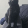 Moka