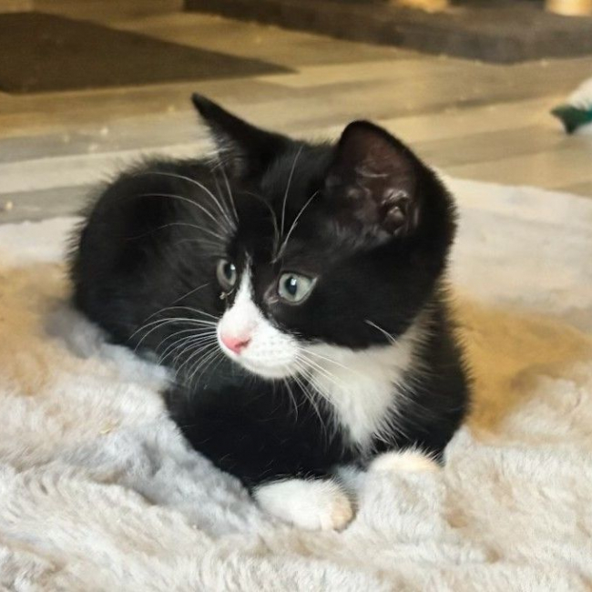 Photo de Eros
