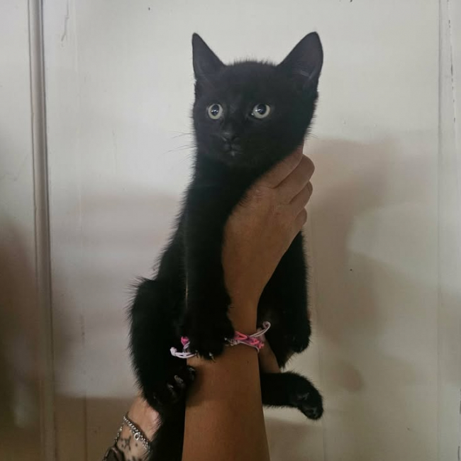 Photo de Oscar