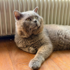 NOUNOURS