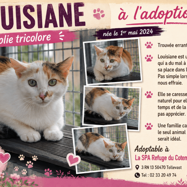 Louisiane