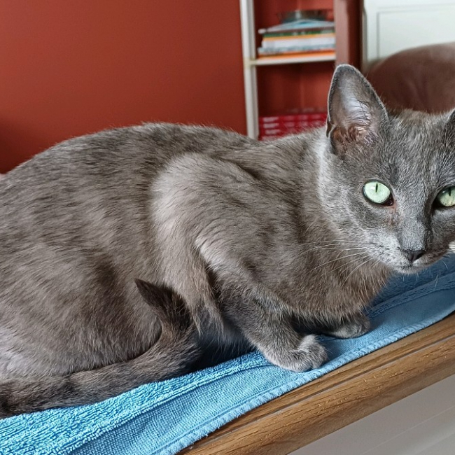 Milka