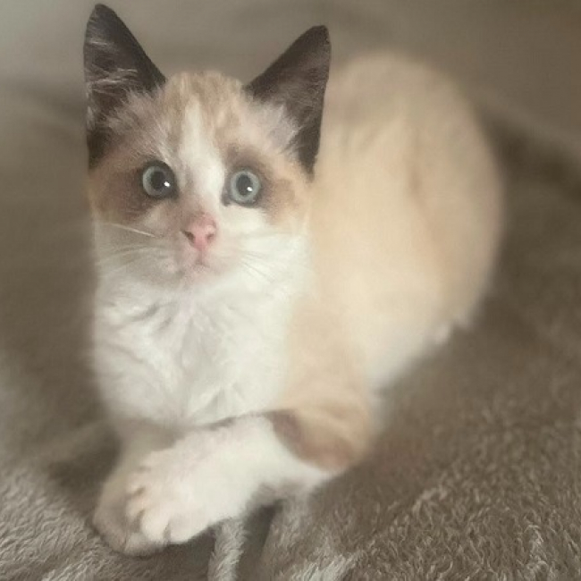 Yuki