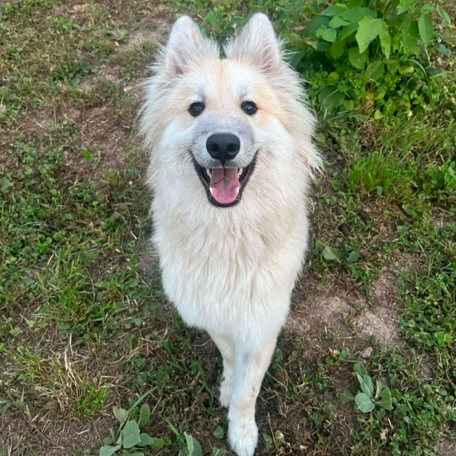 Photo de victor