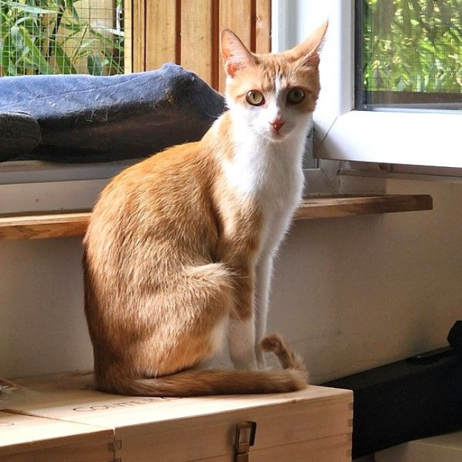 Photo de BLEUETTE