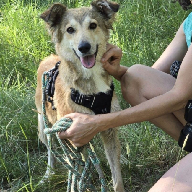 Photo de YAMA