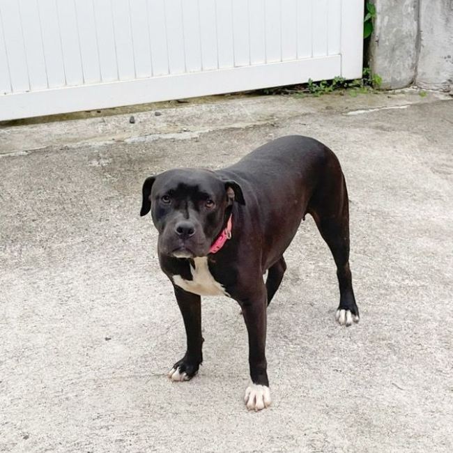 Photo de XENA