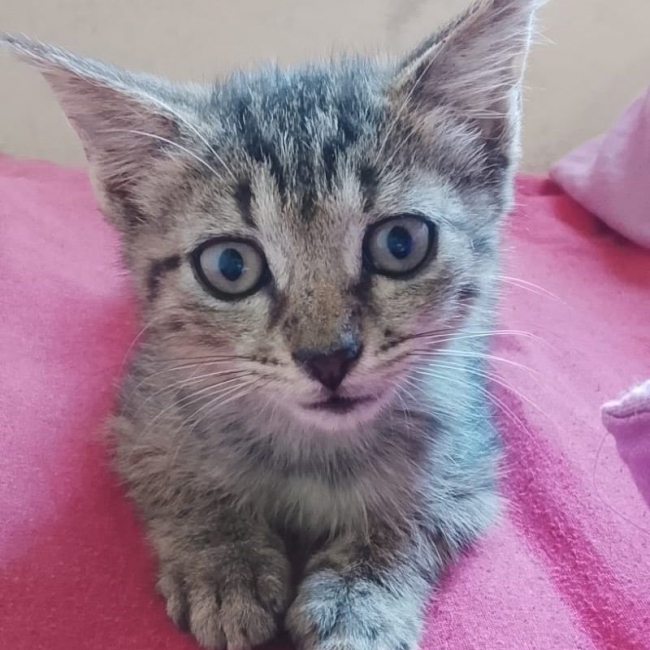 Photo de ZOE