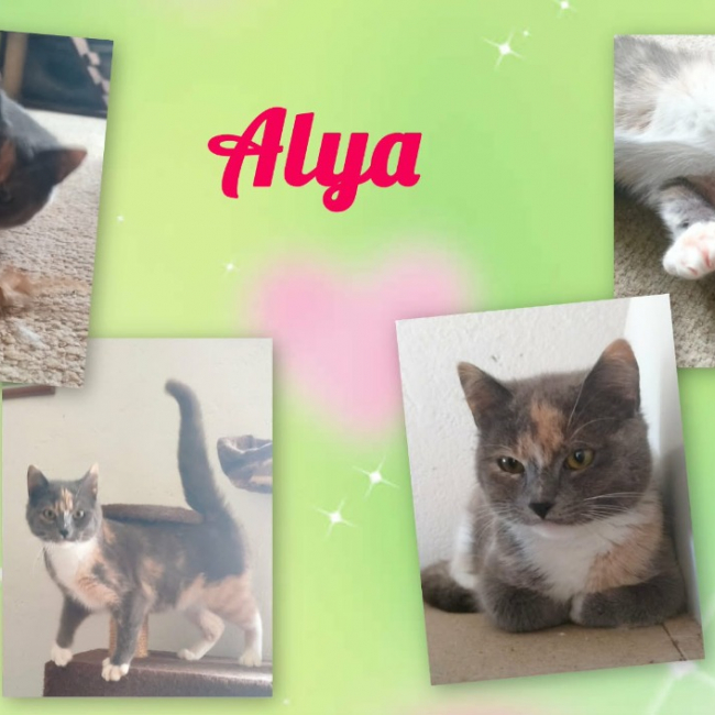Photo de Alya