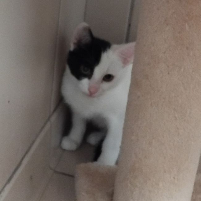 Photo de Bayla