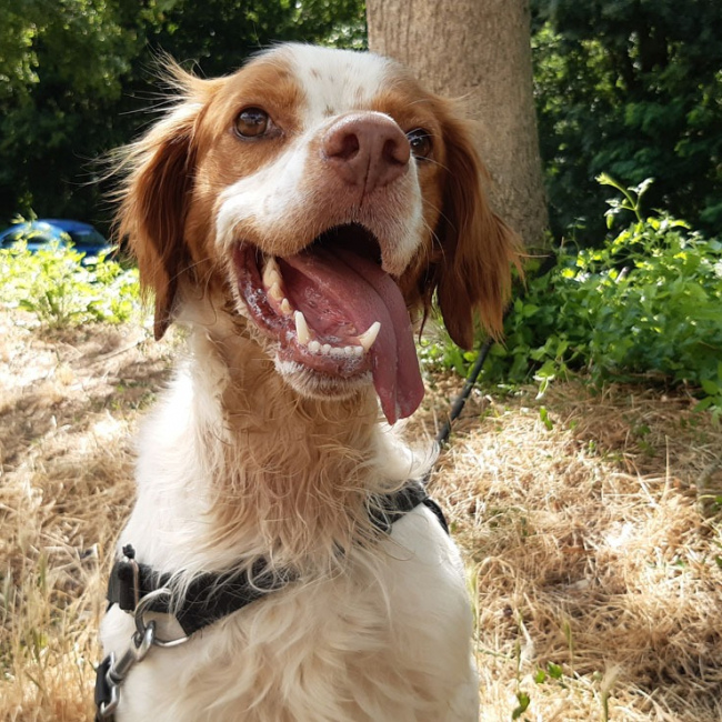 Photo de Lucky