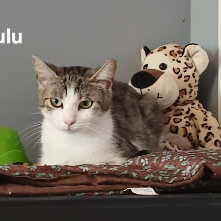 Photo de Lulu