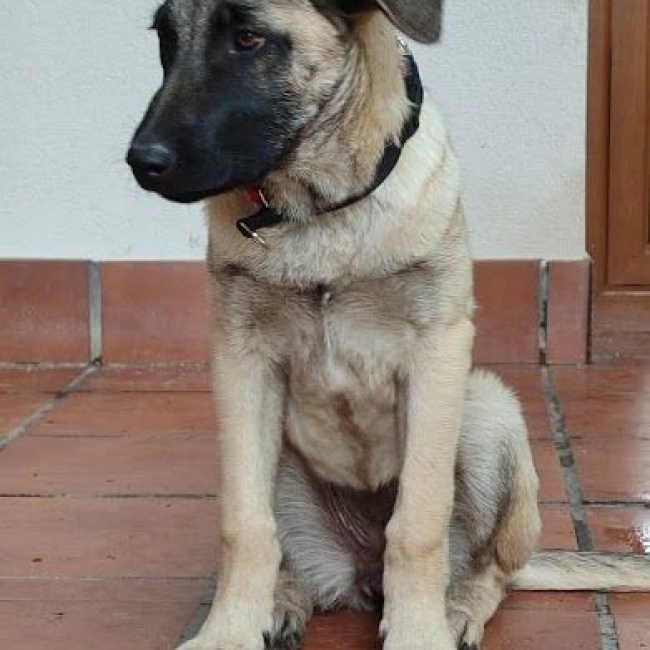 Photo de GALTA