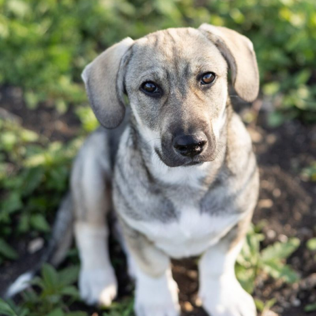 Photo de tanu