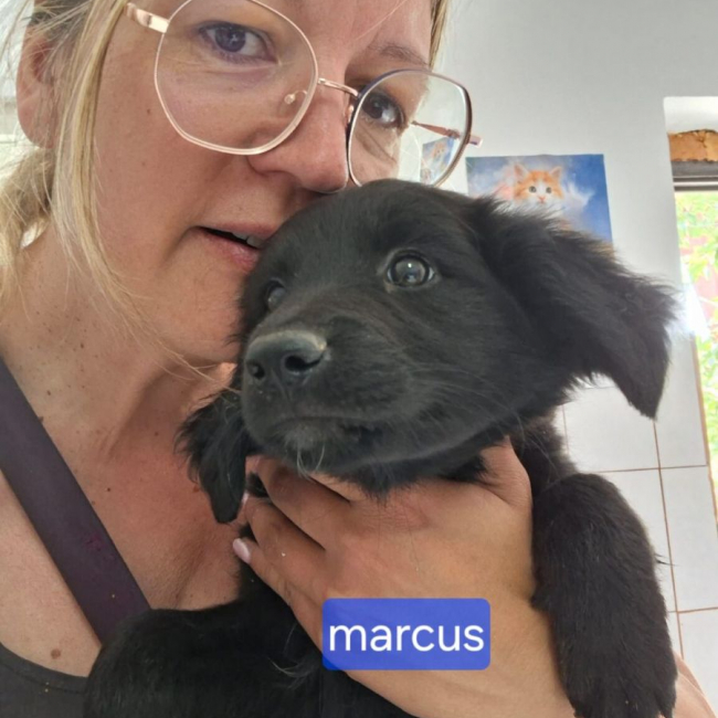 Photo de marcus