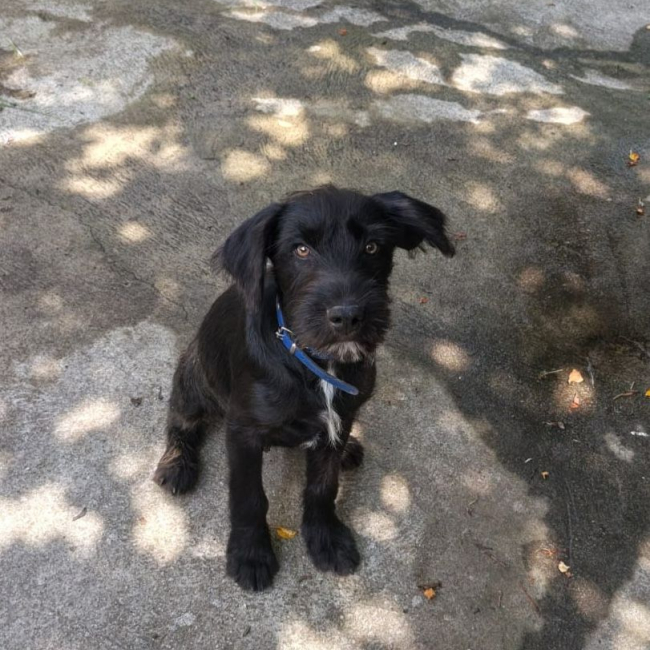 Photo de ralph