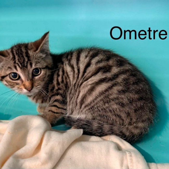 Ometre