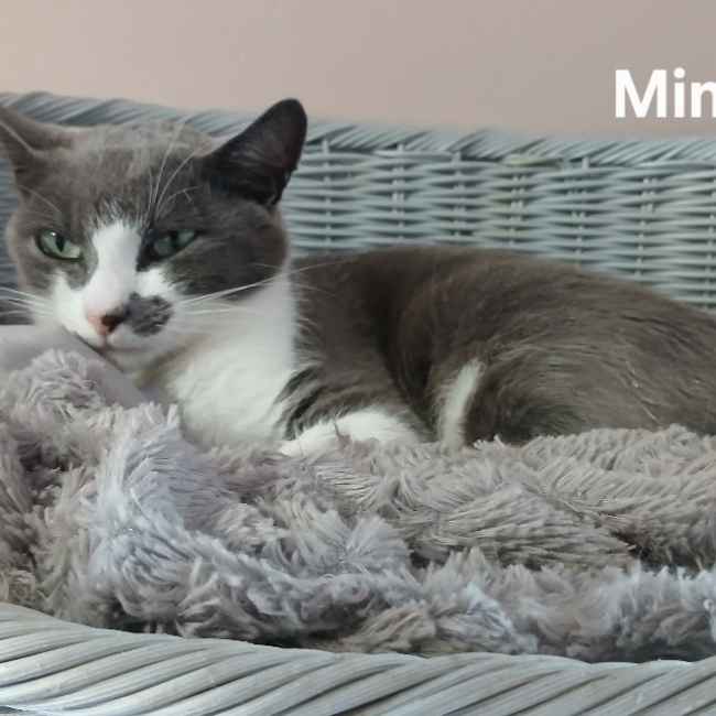 Mimi