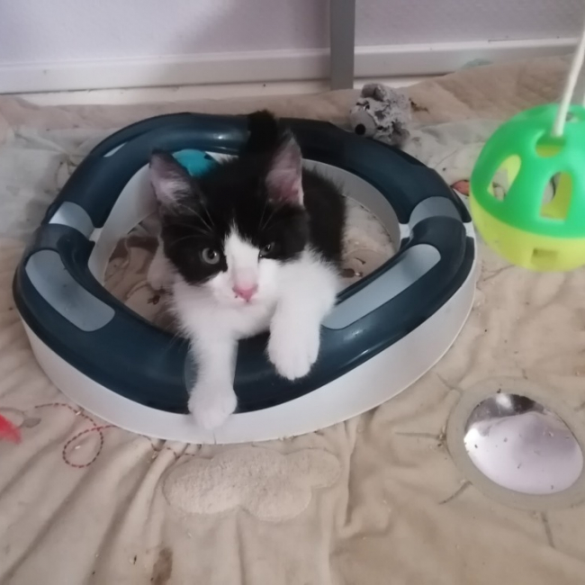 Photo de Caramel