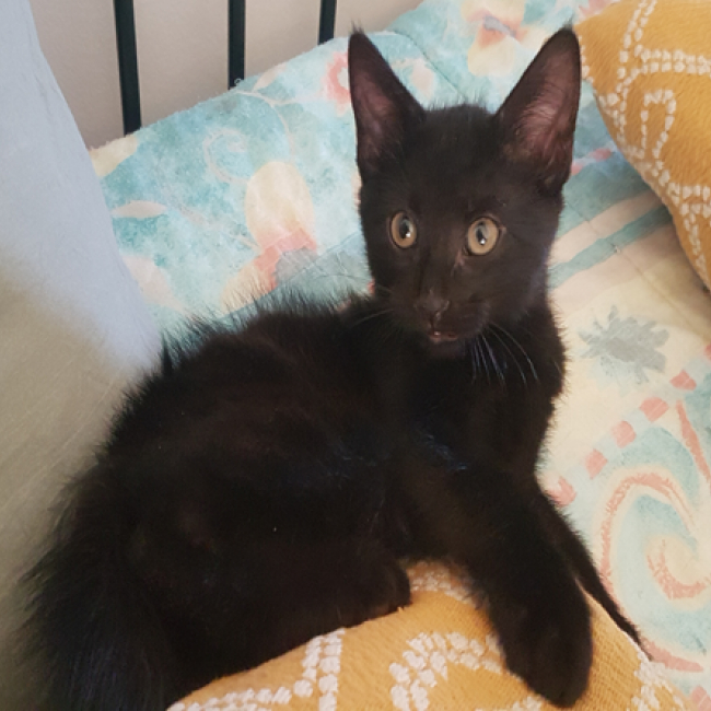 Photo de Lucky