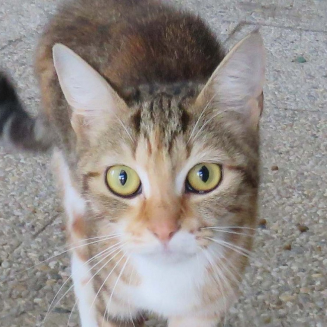 Photo de Lua