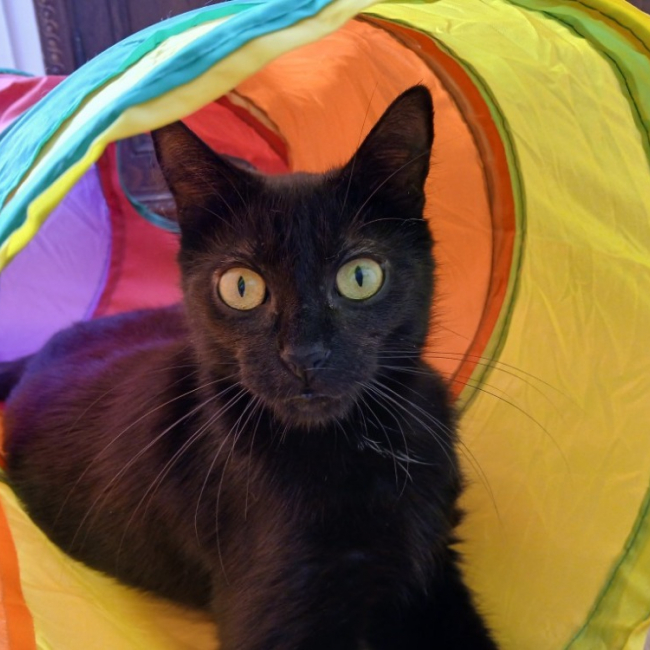 Photo de Zooma