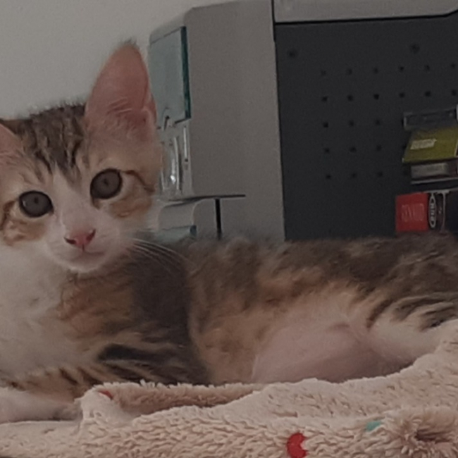 Photo de Oscar