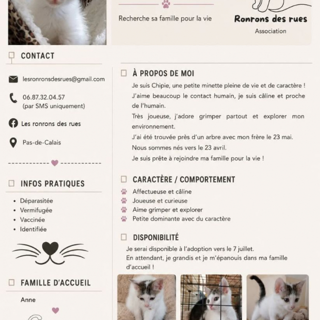 Photo de Chipie