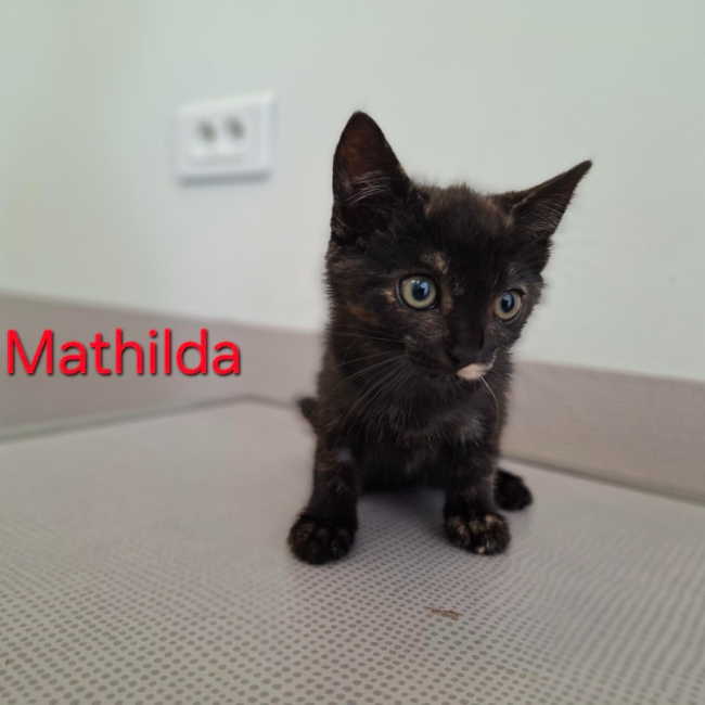 Mathilda