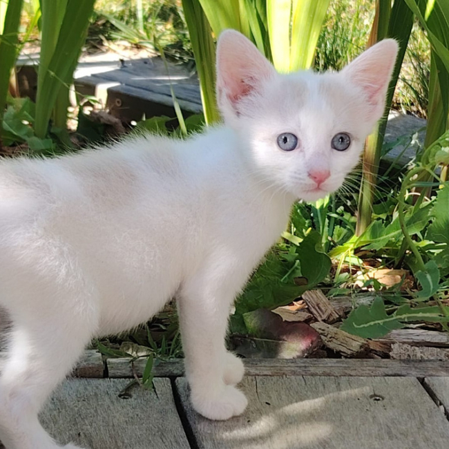 Photo de Tacoma