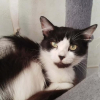 Béline 2 ans