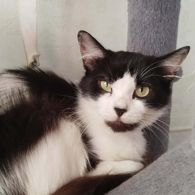 Photo de Béline 2 ans