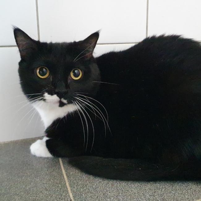 Zoe