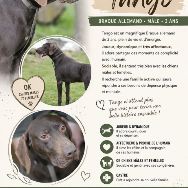 Tango