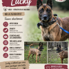 Lucky