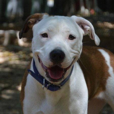 Photo de Nala