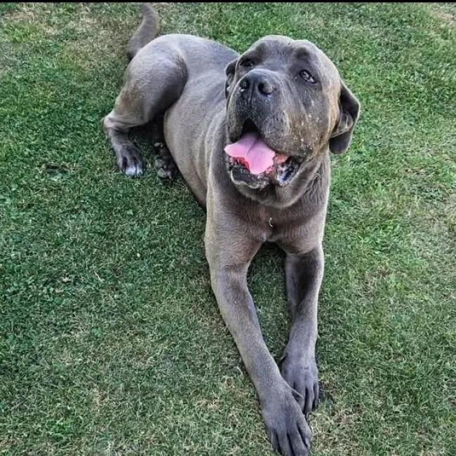 Photo de Hopkins