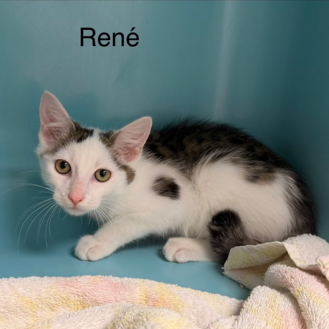 Photo de René