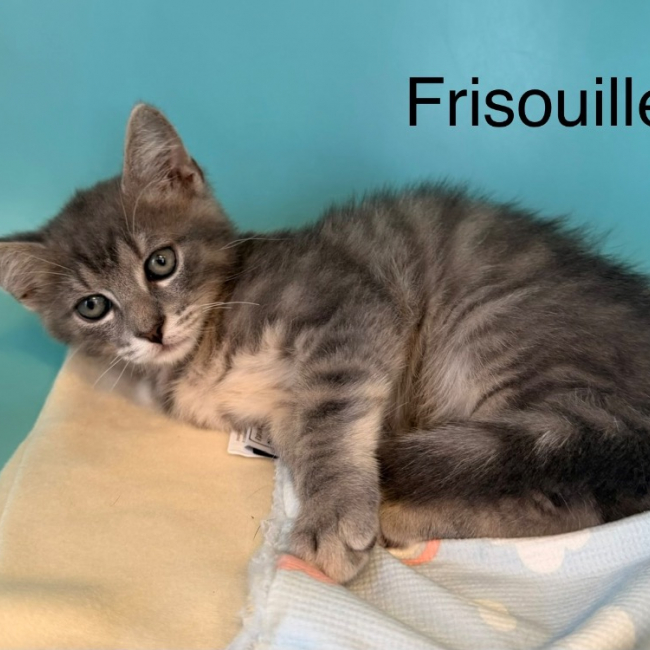Photo de Frisouille