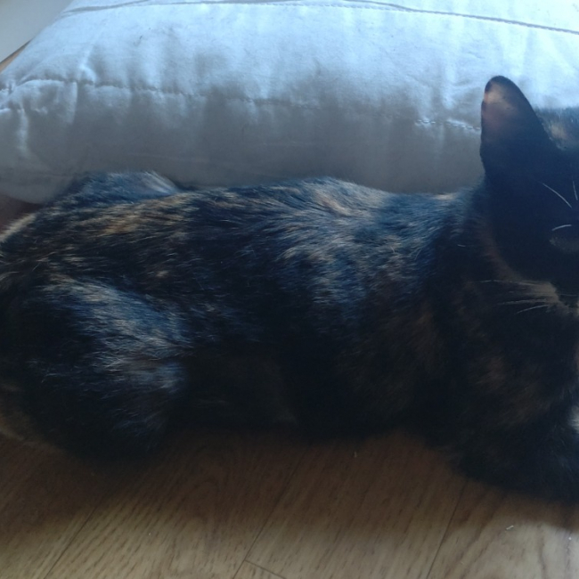 Caramel