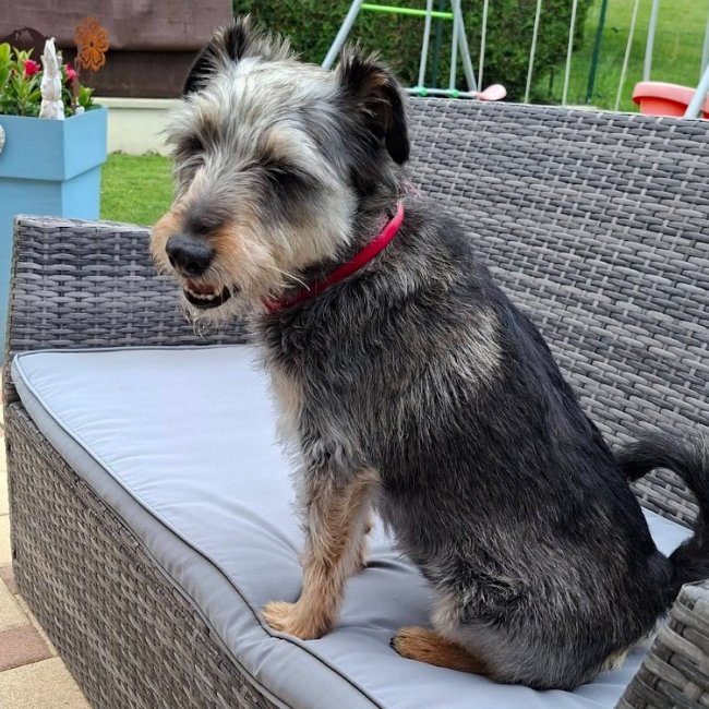 Photo de Teddie