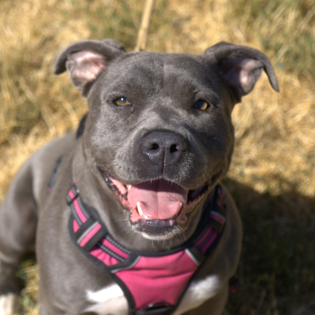 Photo de Kira