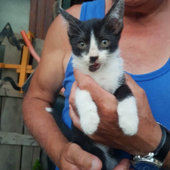 Photo de Chaplin
