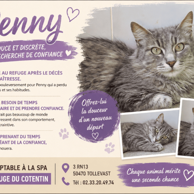 Photo de Penny