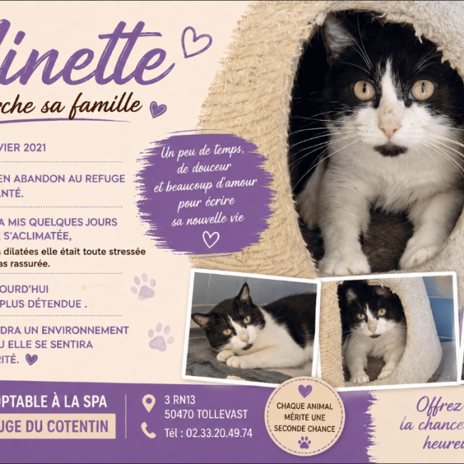 Minette
