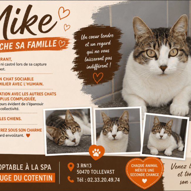 Mike réservé