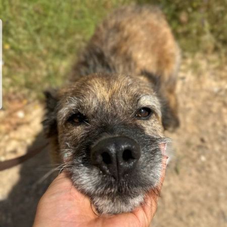 Photo de SUNRISE