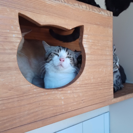 Photo de Pixel