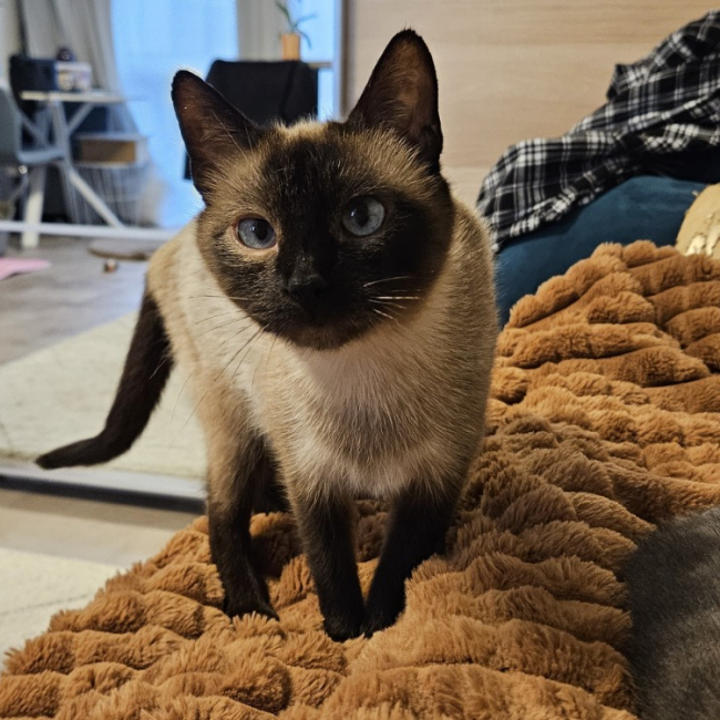 Photo de Bimba
