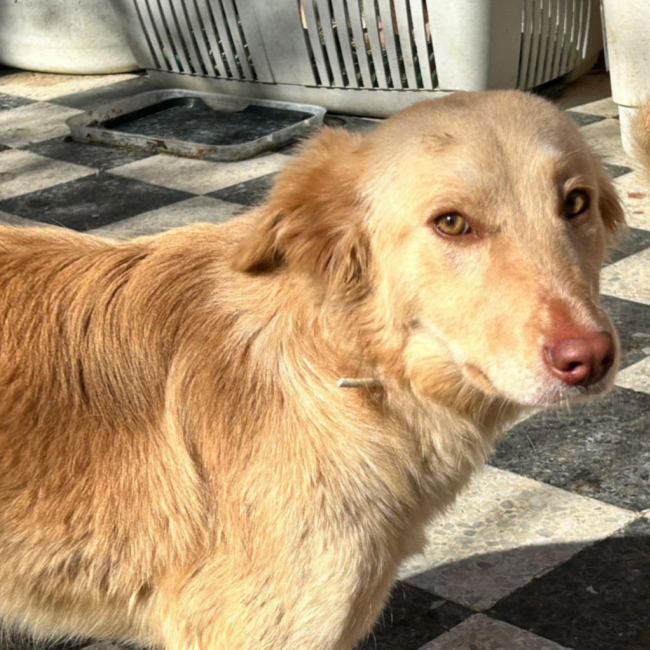 Photo de BELLA